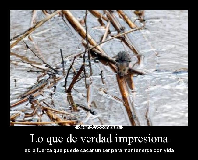 Lo que de verdad impresiona -