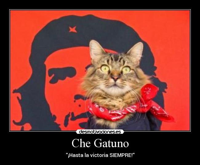 Che Gatuno - ¡Hasta la victoria SIEMPRE!