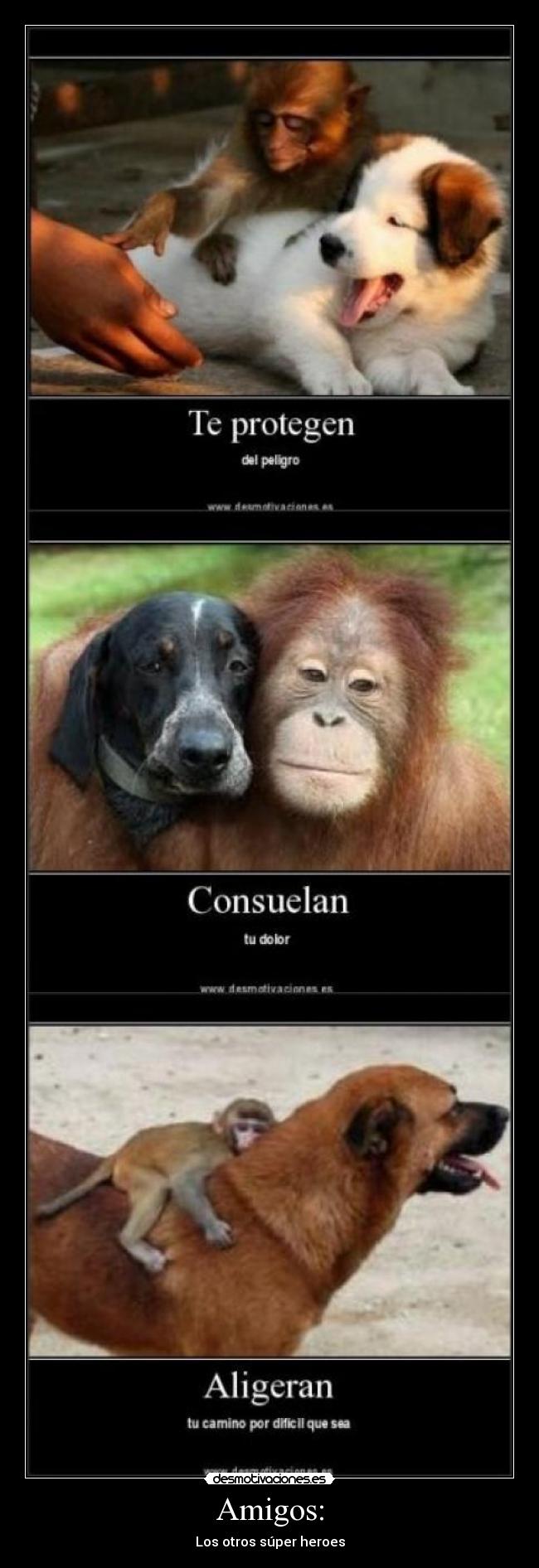 Amigos: - Los otros súper heroes