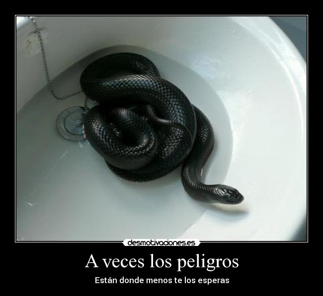 A veces los peligros - Están donde menos te los esperas