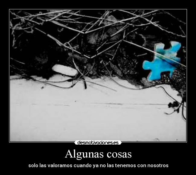 carteles como jode terminar puto puzzle 3000 piezas que falte unaaaa jodeeeeeeeeeer desmotivaciones