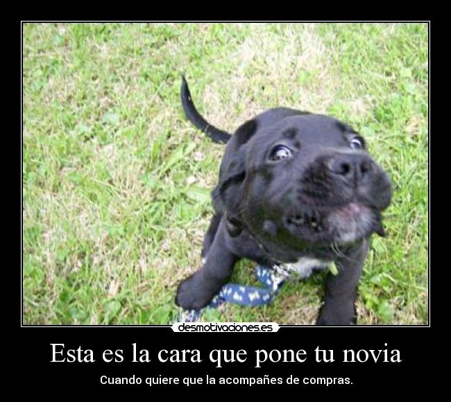 Esta es la cara que pone tu novia - 