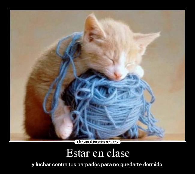 Estar en clase -
