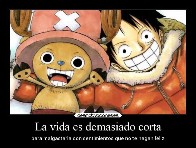 carteles vida one piece luffy chopper vida muy corta asi que fornicar todos dospuntostres desmotivaciones