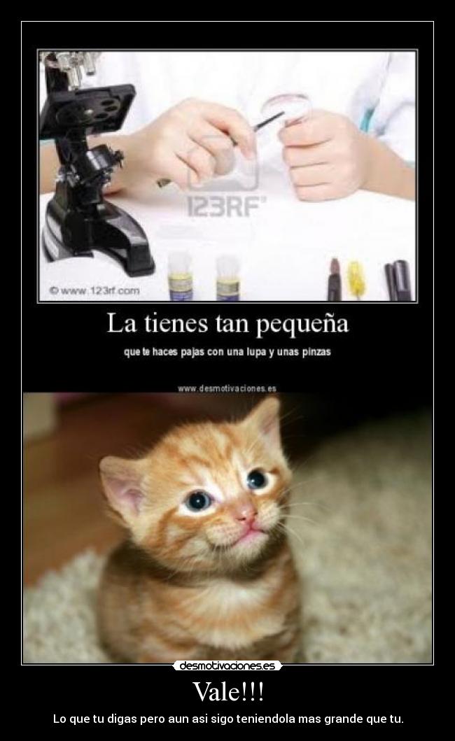 Vale!!! - Lo que tu digas pero aun asi sigo teniendola mas grande que tu.