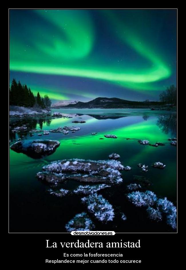 La verdadera amistad - 