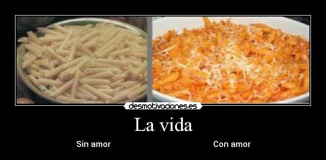 La vida - Sin amor Con amor