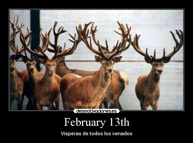 February 13th -