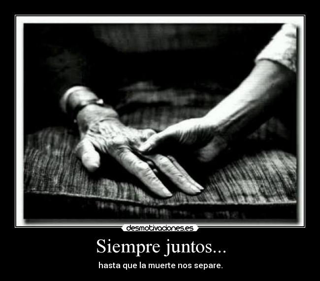 Siempre juntos... - 