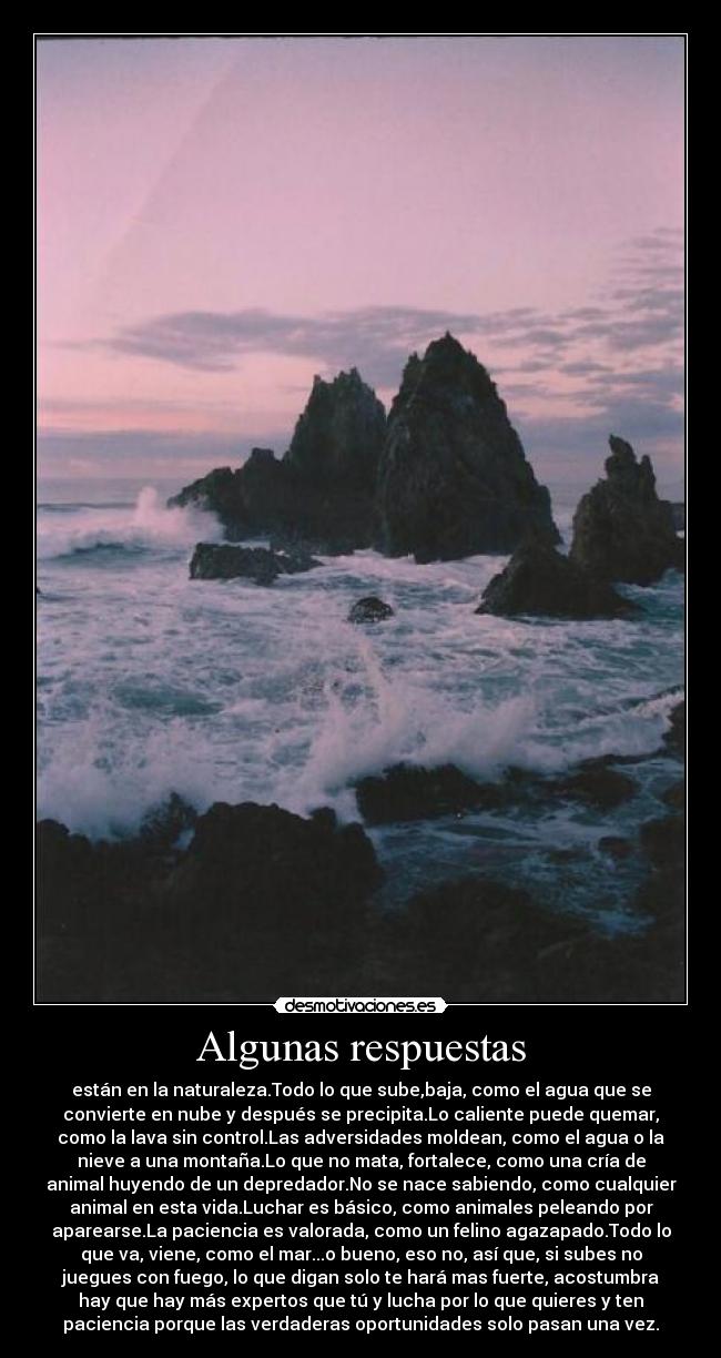 Algunas respuestas - están en la naturaleza.Todo lo que sube,baja, como el agua que se
convierte en nube y después se precipita.Lo caliente puede quemar,
como la lava sin control.Las adversidades moldean, como el agua o la
nieve a una montaña.Lo que no mata, fortalece, como una cría de
animal huyendo de un depredador.No se nace sabiendo, como cualquier
animal en esta vida.Luchar es básico, como animales peleando por
aparearse.La paciencia es valorada, como un felino agazapado.Todo lo
que va, viene, como el mar...o bueno, eso no, así que, si subes no
juegues con fuego, lo que digan solo te hará mas fuerte, acostumbra
hay que hay más expertos que tú y lucha por lo que quieres y ten
paciencia porque las verdaderas oportunidades solo pasan una vez.