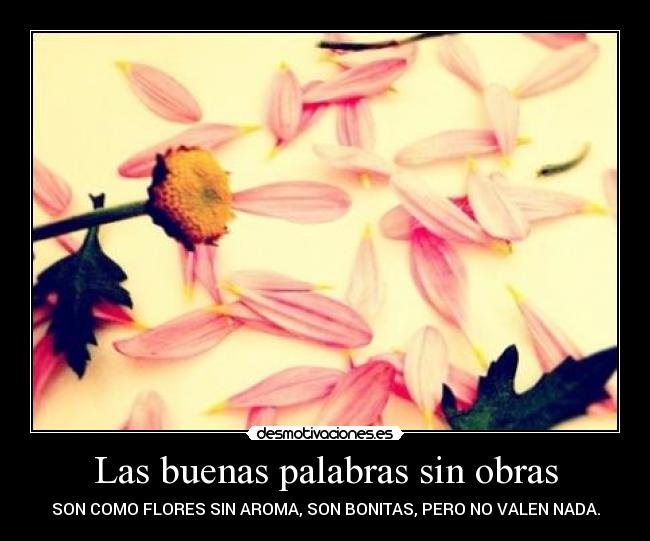 Las buenas palabras sin obras -