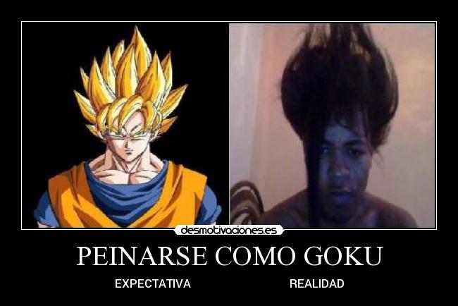 PEINARSE COMO GOKU -