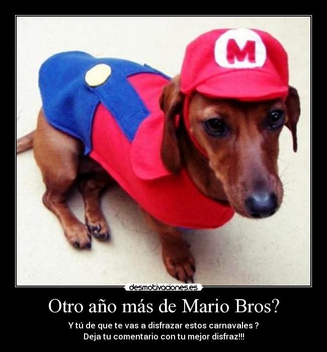 Otro año más de Mario Bros? - Y tú de que te vas a disfrazar estos carnavales ?
Deja tu comentario con tu mejor disfraz!!!