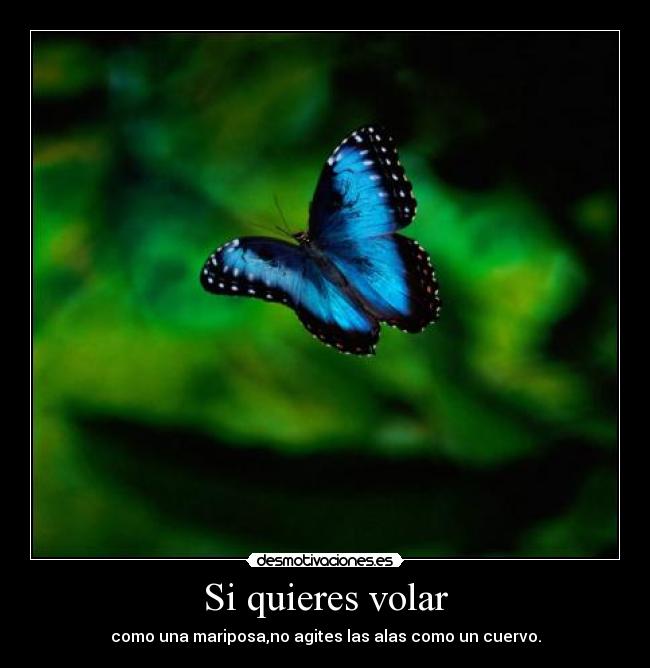 Si quieres volar - como una mariposa,no agites las alas como un cuervo.