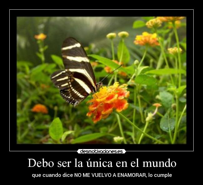 Debo ser la única en el mundo - que cuando dice NO ME VUELVO A ENAMORAR, lo cumple