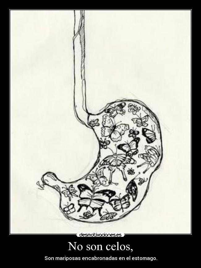 No son celos, - Son mariposas encabronadas en el estomago.