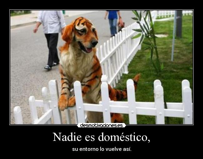 carteles elalienveloz crazyclub clanantifas resubido por errata desmotivaciones