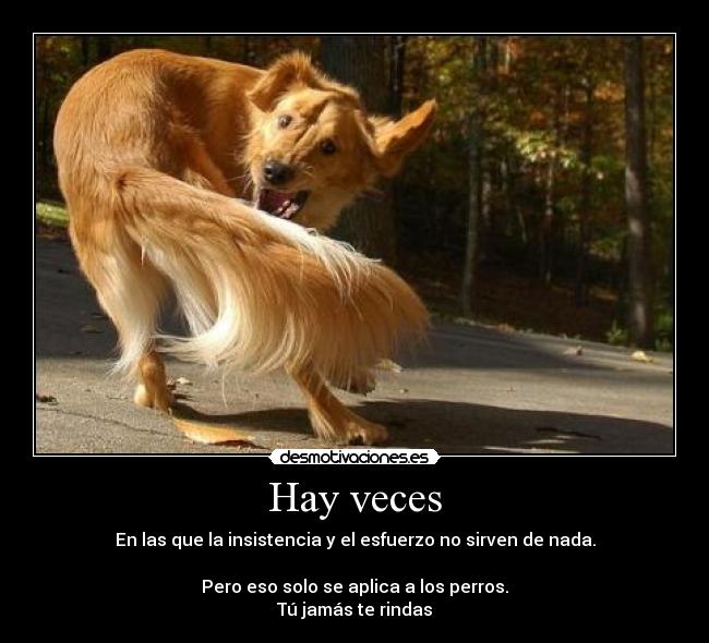 Hay veces - 