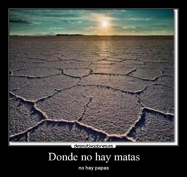 Donde no hay matas - no hay papas