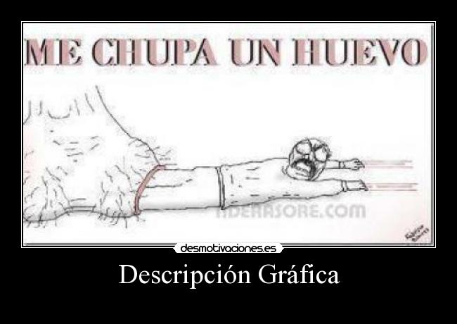 Descripción Gráfica -