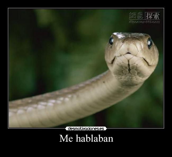 Me hablaban - 