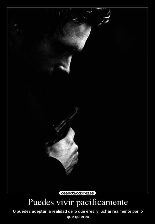 carteles nart nohayverdadquenohayasidomentira desmotivaciones