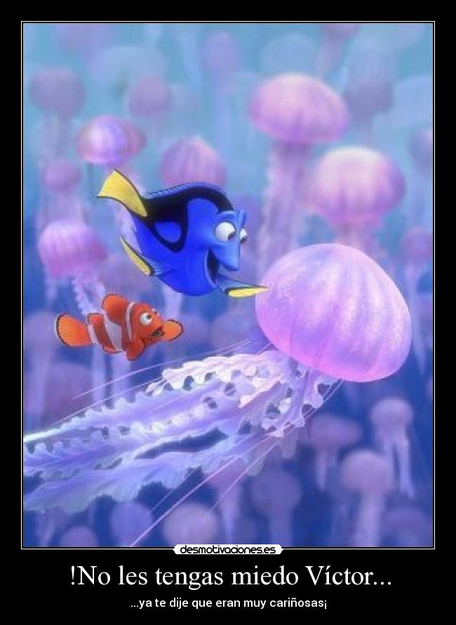 !No les tengas miedo Víctor... - ...ya te dije que eran muy cariñosas¡