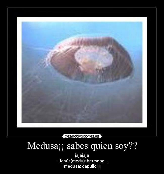 Medusa¡¡ sabes quien soy?? - 