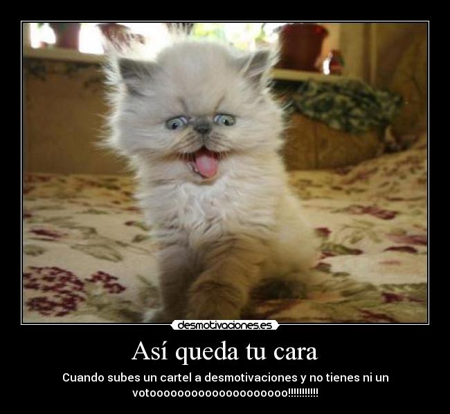 Así queda tu cara -