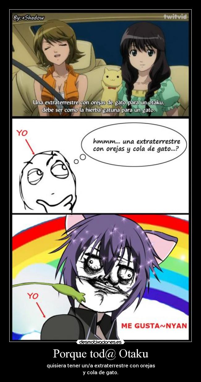 Porque tod@ Otaku - quisiera tener un/a extraterrestre con orejas
y cola de gato.