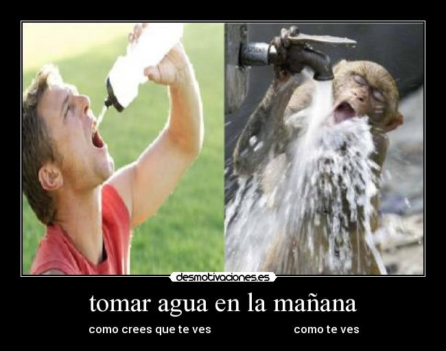 tomar agua en la mañana - 