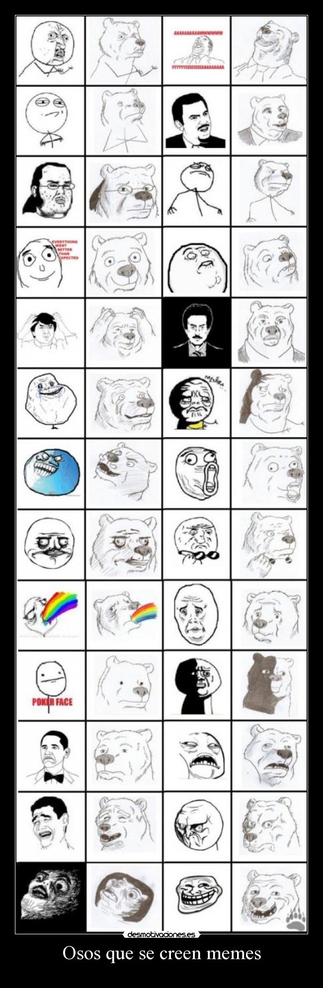 Osos que se creen memes - 