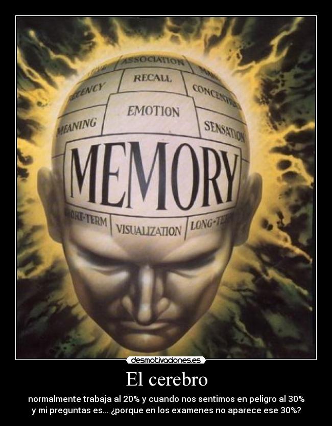 El cerebro - normalmente trabaja al 20% y cuando nos sentimos en peligro al 30%
y mi preguntas es... ¿porque en los examenes no aparece ese 30%?