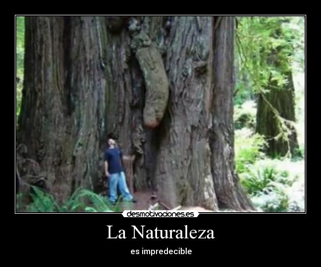 La Naturaleza - es impredecible