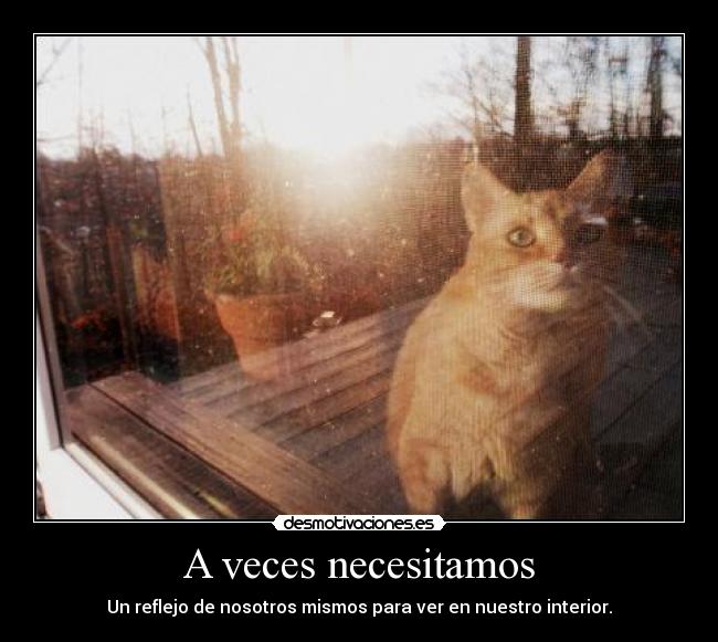A veces necesitamos - 
