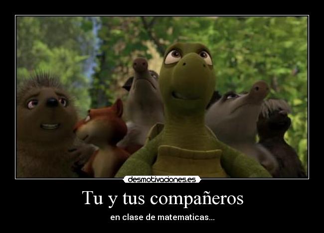 Tu y tus compañeros -