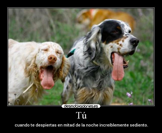 Tú - cuando te despiertas en mitad de la noche increíblemente sediento.