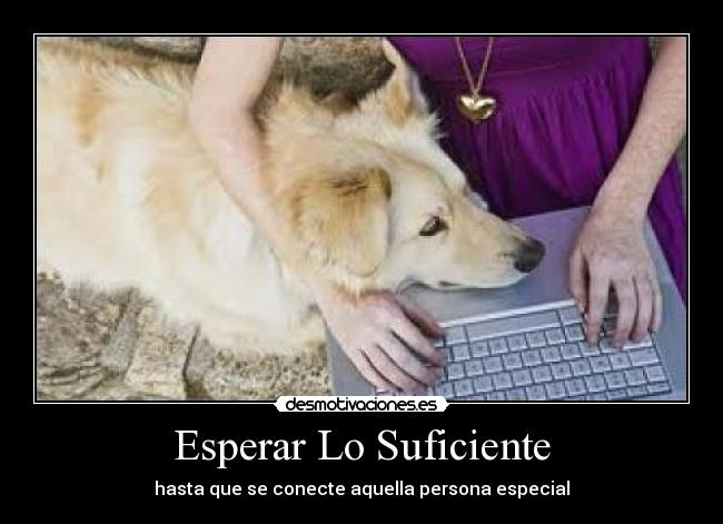 carteles aww cierto desmotivaciones