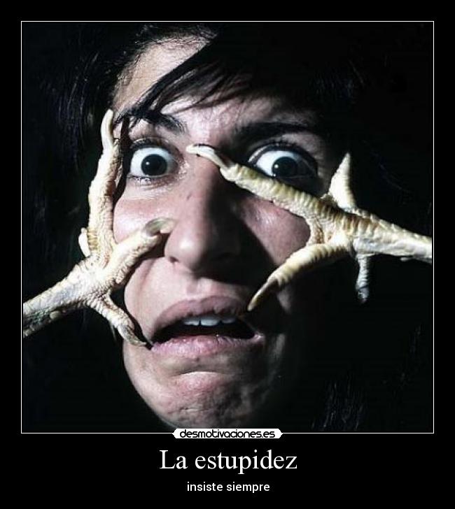 La estupidez - insiste siempre