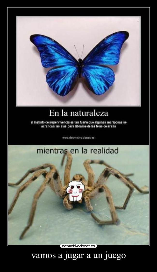 vamos a jugar a un juego -