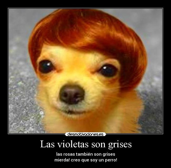 carteles wuau desmotivaciones