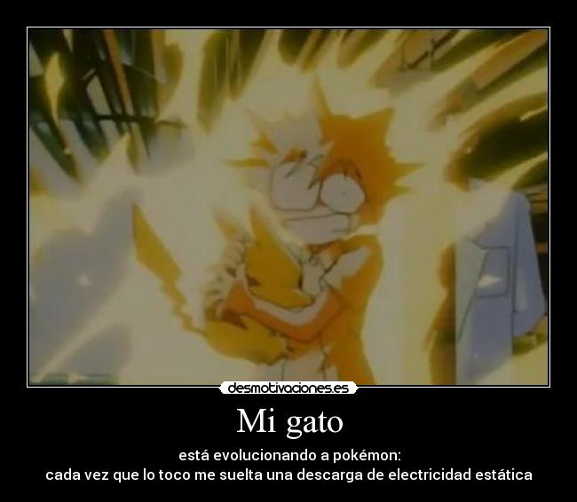 Mi gato - está evolucionando a pokémon:
cada vez que lo toco me suelta una descarga de electricidad estática