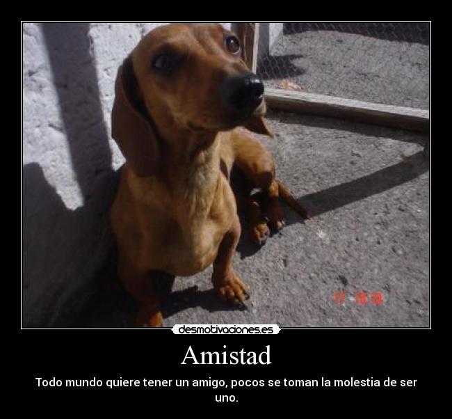 Amistad -