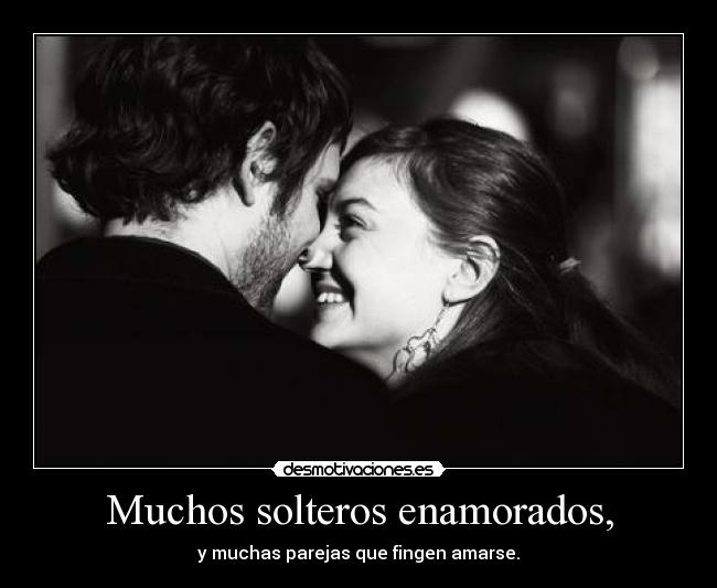 Muchos solteros enamorados, -
