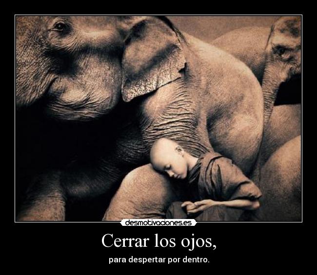 Cerrar los ojos, - para despertar por dentro.