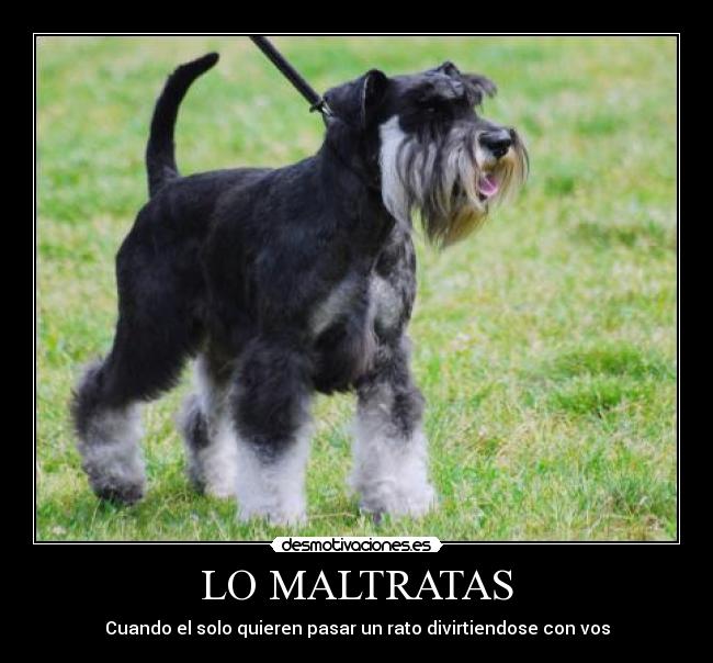 LO MALTRATAS -