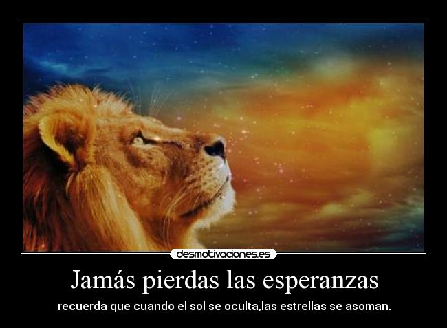 carteles nunca rindas desmotivaciones