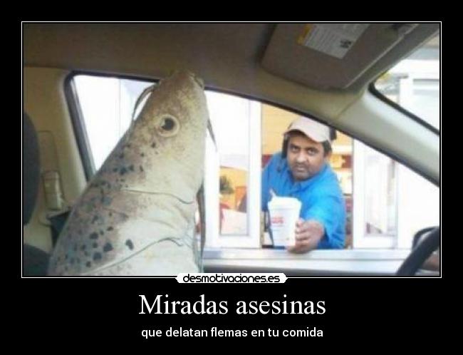 Miradas asesinas - 