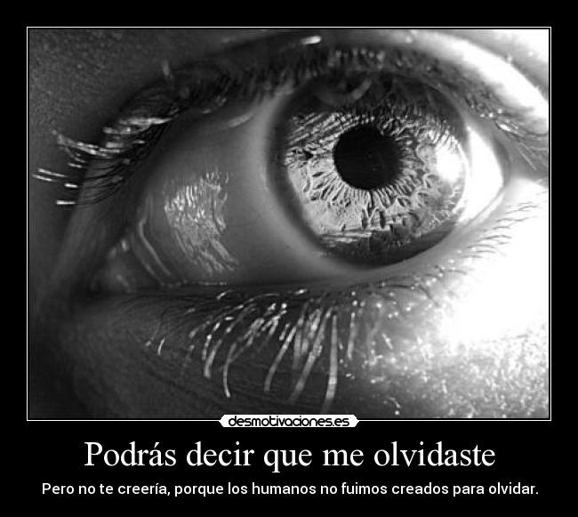 Podrás decir que me olvidaste -