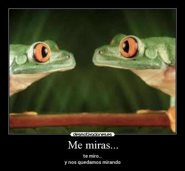 Me miras... - te miro...
y nos quedamos mirando